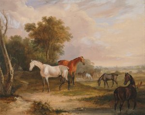  av Francis Calcraft Turner