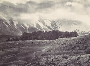 Fjernsyn over Libanons sedertre, ca. 1857. av Francis Frith