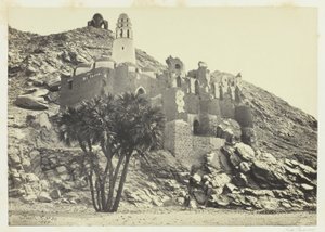 Doum Palm og den ødelagte moskeen, Philæ av Francis Frith