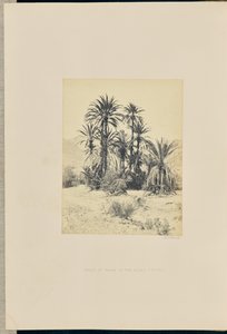  av Francis Frith