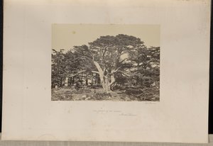  av Francis Frith