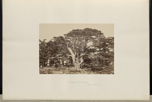  av Francis Frith