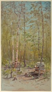 Bjørketrær av Francis Hopkinson Smith