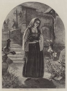 Teresina av Francis John Wyburd