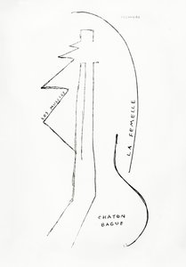  av Francis Picabia