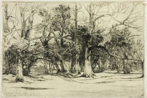 En by-road i Tipperary av Francis Seymour Haden