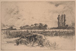A Water Meadow (etsing og tørrpunkt) av Francis Seymour Haden
