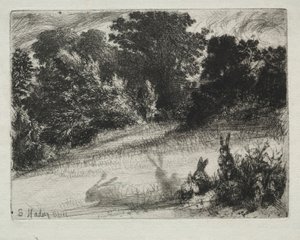Kjem bunnen. av Francis Seymour Haden