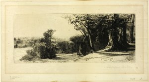 Tidlig morgen, Richmond Park av Francis Seymour Haden