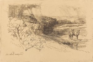 Encombe Woods (nr. 1) av Francis Seymour Haden