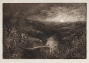 Tilholdssted for myggen. av Francis Seymour Haden