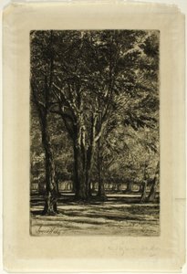 Kensington Gardens, nr. II (stor tallerken) av Francis Seymour Haden