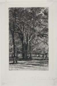 Kensington Gardens, nr. II (stor tallerken) av Francis Seymour Haden