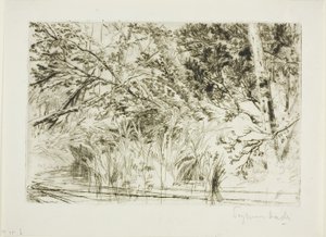 Munn av en bekk, nr. II av Francis Seymour Haden