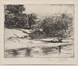 Newcastle i Emlyn av Francis Seymour Haden