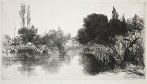 Shere Mill Pond, nr. 11 (Den store platen) av Francis Seymour Haden