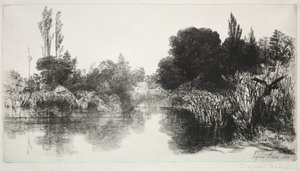 Shere Mill Pond, nr. 11 The Large Plate, 1860 og senere. av Francis Seymour Haden