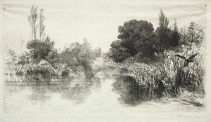Shere Mill Pond The Larger Plate, 1860. av Francis Seymour Haden