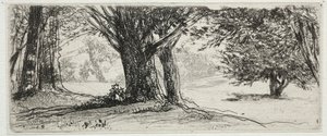 Holly Field. av Francis Seymour Haden