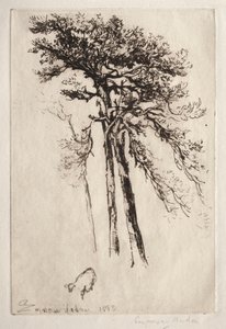 Det siste treet av Francis Seymour Haden