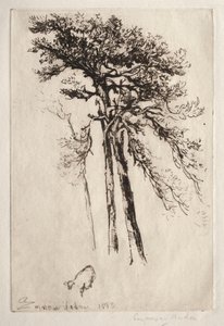 Det siste treet, 1882. av Francis Seymour Haden