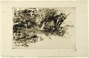 The Willows av Francis Seymour Haden