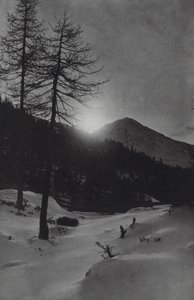 Alpene: nær Obergurgl (s/hvitt bilde)