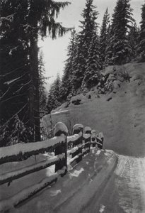 Alpene: Vintermorgen, nær St Anton (s/hvitt bilde)