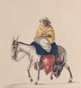 En slakter som rir på et esel, fra en gruppe tegninger som viser peruansk drakt, ca. 1848.