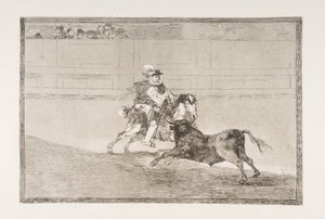 Plate 13 av 