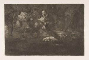 Plate 18 fra 