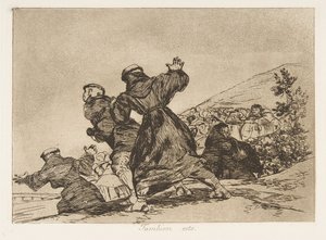 Plate 43 fra 