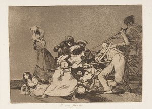Plate 5 fra 