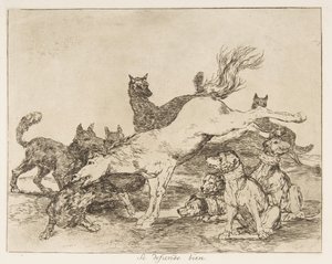 Plate 78 fra 