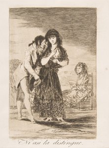 Plate 7 fra 