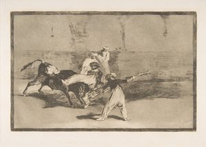Plate 8 fra 