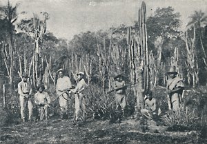 Fields, 1895