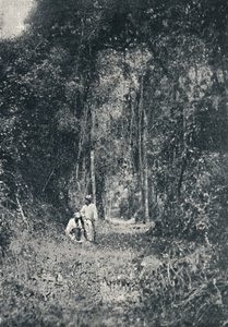 Alto Parana Highway, 1895