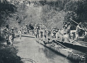 Utforskning av Ro de Sto. Anastacio, 1895