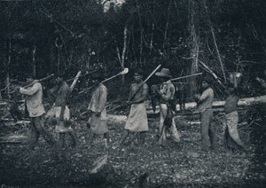 Guarany-indianere, vender tilbake fra en Caþada, 1895