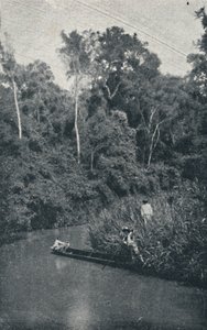 S. Anastacio-elven, 1895