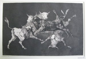 Dåres dårskap av Francisco Jose de Goya y Lucientes