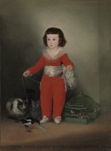 Don Manuel Osorio Manrique de Zuniga (1784-92) av Francisco de Goya