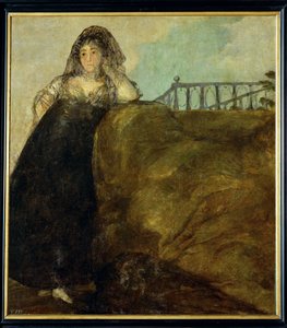 Dona Leocadia Zorrilla (maleri på lerret) av Francisco Jose de Goya y Lucientes