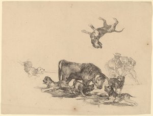 Okse angrepet av hunder av Francisco de Goya