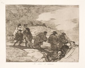 De vet ikke hvor (70) av Francisco de Goya