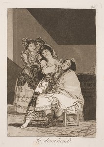 Hun flår ham av Francisco de Goya