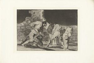 Rasende dårskap Ulik furioso Los Disparates (The follies) (serietittel) Los Proverbios (Ordspråkene) (serietittel) av Francisco de Goya