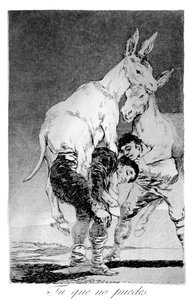 Du som ikke kan, 1799 av Francisco de Goya