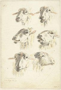 Studieark med seks sauehoder av Franciscus Andreas Milatz (attributed to)